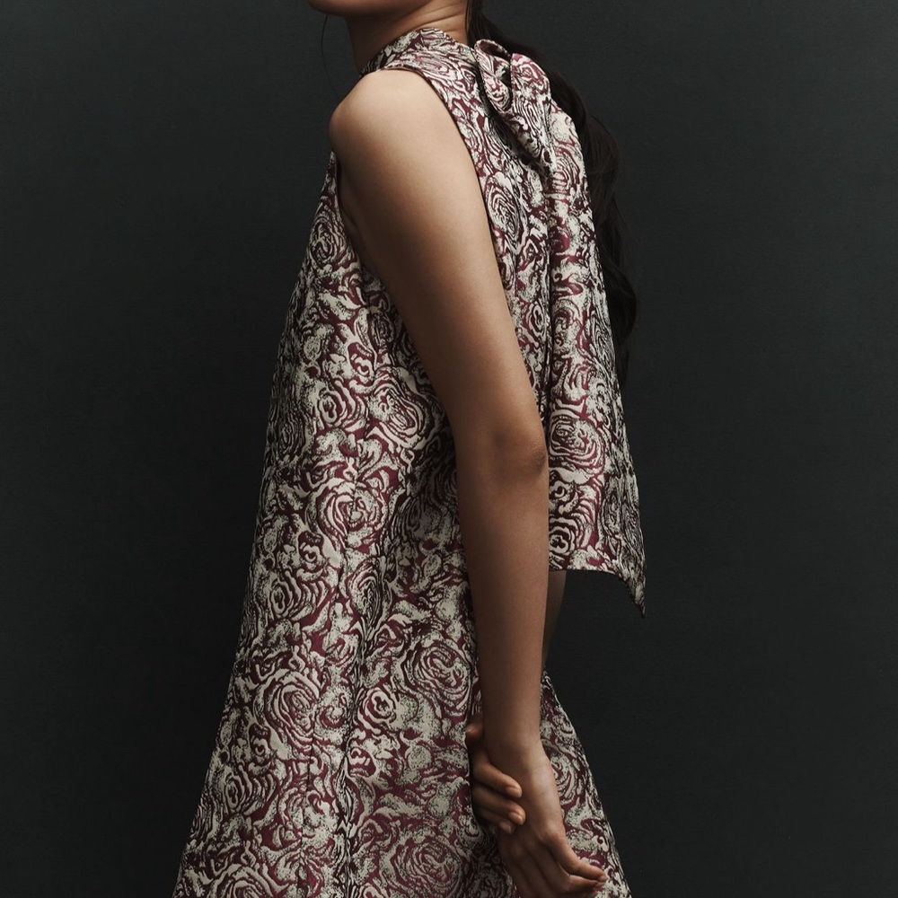 Sunday in Brooklyn Brocade Mini Dress in Cream and Red - Picture 3 of 3